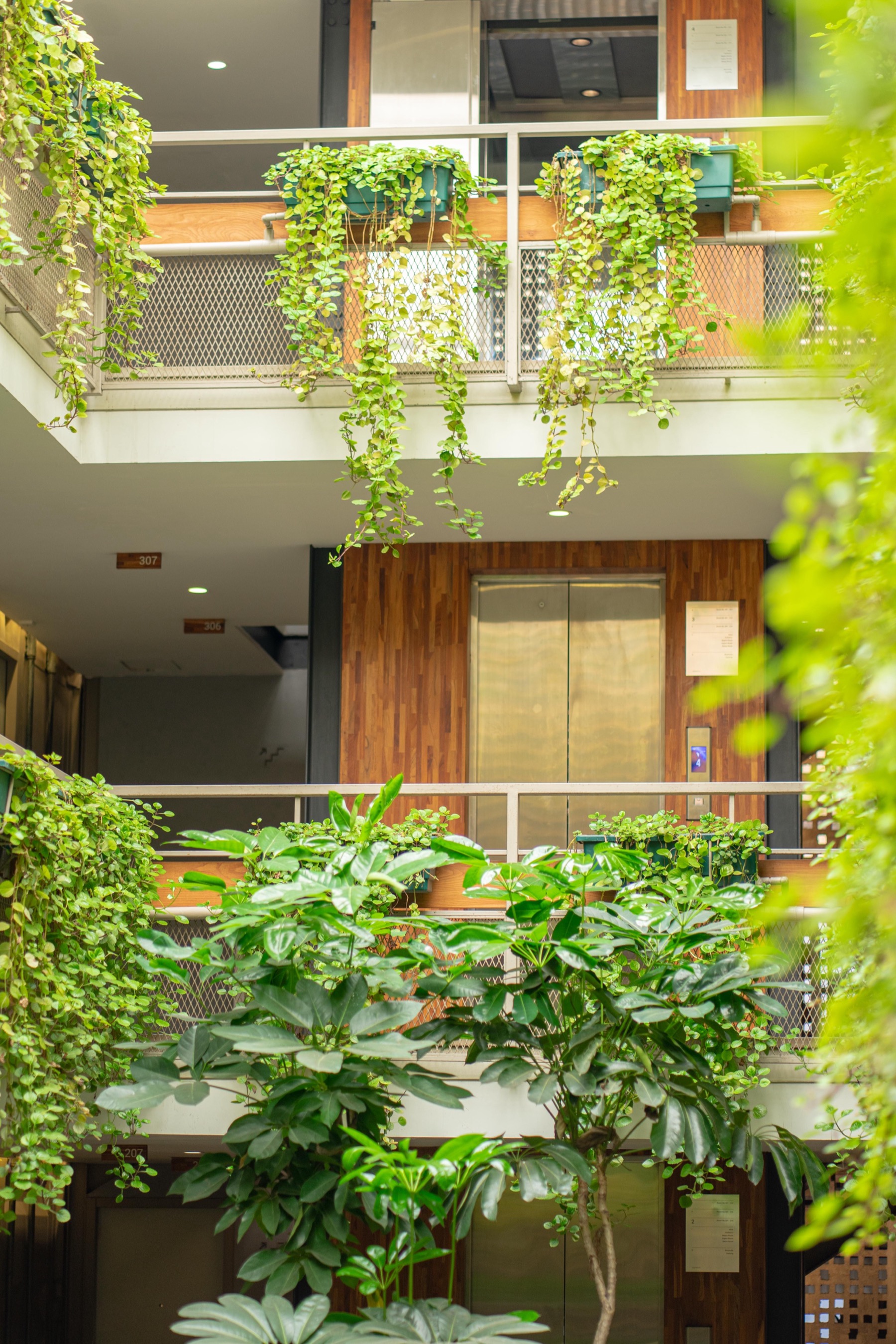 Kollektiv Hotel greenery